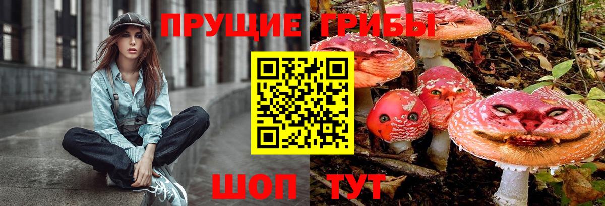 Псилоцибиновые грибы MAGIC MUSHROOMS Егорьевск