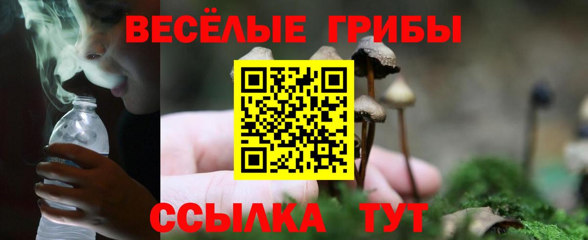 Псилоцибиновые грибы мицелий  Вход с VPN  Псилоцибиновые грибы Cubensis  Егорьевск 